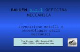 BALDEN s.r.l OFFICINA MECCANICAs.r.l Lavorazione metalli e assemblaggio pezzi meccanici Via Olcese 1284 Mondovi(CN) 0174-73289 info@balden.com.