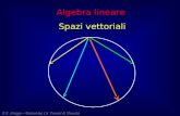 Algebra lineare Spazi vettoriali E.F. Orsega – Università Ca Foscari di Venezia.