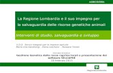 La Regione Lombardia e il suo impegno per la salvaguardia delle risorse genetiche animali Interventi di studio, salvaguardia e sviluppo U.O.O. Servizi.