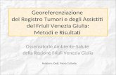 Georeferenziazione del Registro Tumori e degli Assistiti del Friuli Venezia Giulia: Metodi e Risultati Osservatorio Ambiente-Salute della Regione Friuli.