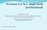 Civitavecchia, 13/11/2008 Commissione Lavoro Ordine Dottori Commercialisti ed Esperti Contabili di Civitavecchia Convegno di Formazione Professionale Continua.