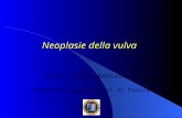 Neoplasie della vulva Prof. Guido Ambrosini Università degli Studi di Padova.