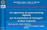 Un algoritmo di watermarking digitale per la protezione di immagini di Beni Culturali CNR Roma 15 /11/2006 IDS srl – Informatica distribuita e software.