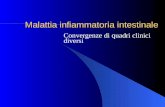 Malattia infiammatoria intestinale Convergenze di quadri clinici diversi.