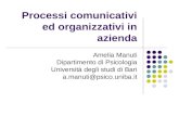Processi comunicativi ed organizzativi in azienda Amelia Manuti Dipartimento di Psicologia Università degli studi di Bari a.manuti@psico.uniba.it.