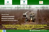 1 Lesperienza in campo e la redditività di unazienda della Pianura Padana impegnata nella coltivazione delle biomasse legnose Progetto EVASFO – Raccogliamo.