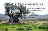 1 Modulo 2: Pace e Nonviolenza 1.Pace e confitto: per un vocabolario comune 2.L'analisi del conflitto 3.La trasformazione del conflitto.