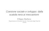 Coesione sociale e sviluppo: dalla scatola nera ai meccanismi Filippo Barbera Dipartimento di Scienze Sociali, Università degli Studi di Torino.