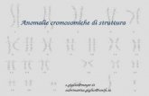 Anomalie cromosomiche di struttura s.giglio@meyer.it sabrinarita.giglio@unifi.it.