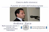 Medizinische Klinik I Klinik für interdisziplinäre Endoskopie Cancro dello stomaco: Il punto di vista dell´endoscopista Andrea Pace.