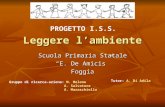 Leggere lambiente Scuola Primaria Statale E. De Amicis Foggia PROGETTO I.S.S. Gruppo di ricerca-azione: M. Melone A. Salvatore A. Maraschiello Tutor: A.
