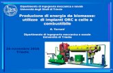 Dipartimento di ingegneria meccanica e navale Università degli Studi di Trieste Produzione di energia da biomasse: utilizzo di impianti ORC e celle a combustibile.