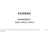 ESABAC PIEMONTE Dati 2012-1013 Seminario 14-15 febbraio 2013, Convitto Umberto I Torino Laura Siviero.