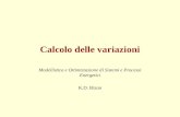 Calcolo delle variazioni Modellistica e Ottimizzazione di Sistemi e Processi Energetici K.D. Bizon.