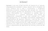 INTRANET Intranet è una rete di tipo Internet all interno di un azienda, adeguatamente protetta e sicura. Queste reti si rivolgono sia verso lesterno con.