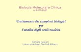 Trattamento dei campioni biologici per lanalisi degli acidi nucleici Biologia Molecolare Clinica aa 2007/2008 Renata Paleari Università degli Studi di.