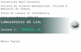 Laboratorio di Linguaggi lezione I: "Hello, world!" Marco Tarini Università dellInsubria Facoltà di Scienze Matematiche, Fisiche e Naturali di Varese Corso.