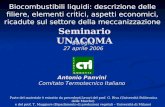 Seminario UNACOMA Antonio Panvini Comitato Termotecnico Italiano Biocombustibili liquidi: descrizione delle filiere, elementi critici, aspetti economici,