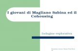 Elisabetta Cerroni Master Pism Roma3 I giovani di Magliano Sabina ed il Cohousing Indagine esplorativa.