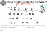 By NA Citogenetica I La citogenetica e` lo studio dei fenomeni genetici attraverso lanalisi citologica dei cromosomi al microscopio. Ferguson-Smith.