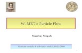 W, MET e Particle Flow Riunione mensile di software e analisi, 09/02/2009 Massimo Nespolo 1.