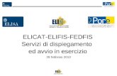 3 ELICAT-ELIFIS-FEDFIS Servizi di dispiegamento ed avvio in esercizio 28 febbraio 2010.