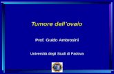Tumore dellovaio Prof. Guido Ambrosini Università degli Studi di Padova.