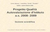 Progetto Qualità Autovalutazione d'Istituto a.s. 2008- 2009 Sezione scientifica Liceo classico – scientifico Scotti-Einstein Ischia – Lacco Ameno ( NA)