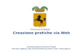Creazione pratiche via Web Amministrazione Provincia di Napoli Direzione Vigilanza sulle Attività di Motorizzazione Civile e Autotrasporto.