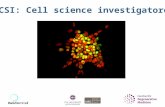 CSI: Cell science investigatore. Alla fine della lezione, dovreste… Sapere come le cellule staminali possono essere utilizzate in medicina Conoscere una.