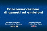 Crioconservazione di gameti ed embrioni Rosanna Ciriminna Adina Massacesi Centro Ambra- Palermo Centro Bios -Roma.