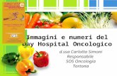 L/O/G/O Immagini e numeri del Day Hospital Oncologico d.ssa Carlotta Simoni Responsabile SOS Oncologia Tortona.