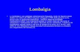 Lombalgia La lombalgia è una patologia estremamente frequente, tanto da figurare senza dubbio tra i dolori più diffusi nei paesi sviluppati: il 70% delle.