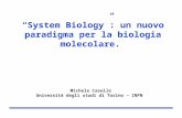 System Biology: un nuovo paradigma per la biologia molecolare. Michele Caselle Università degli studi di Torino – INFN.