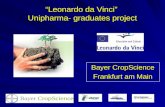 Leonardo da Vinci Unipharma- graduates project Bayer CropScience Frankfurt am Main.