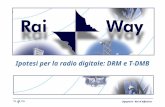 Ingegneria - Reti di Diffusione Ipotesi per la radio digitale: DRM e T-DMB.