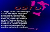 Dal 2000 a oggi... Il Gruppo Studio Tumori Urologici (GSTU) nasce dalla spontanea aggregazione di specialisti interessati alla ricerca ed allo studio dei.