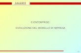 1/47 progetto di massima/esecutivo SAGEFIT E-ENTERPRISE: EVOLUZIONE DEL MODELLO DI IMPRESA.