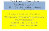Istituto Tecnico Aeronautico F. De Pinedo Roma a.s.2011/2012 Il nuovo diritto dasilo: Diritto del richiedente protezione internazionale Classi III C e