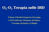 O 2 -O 3 Terapia nelle IBD F.Bossa, I.Nicoletti Gasparrini, M.Luongo, C.M.DAmbrosio, P.Esposito, M.I.Russo, C.Luongo, M.Agresti e G.Riegler.