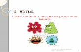 I Virus I virus sono da 10 a 100 volte più piccoli di un batterio 1Scuola Secondaria Bolgare. Prof. Locatelli.
