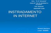 INSTRADAMENTO IN INTERNET Micolucci Marianna n.matr. 3028856 Univ. G. D Annunzio Corso di reti di calcolatori e sicurezza Prof. Bistarelli 2004/2005 CLEIS.