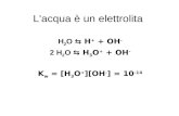 L'acqua è un elettrolita H 2 O H + + OH - 2 H 2 O H 3 O + + OH - K w = [H 3 O + ][OH - ] = 10 -14.