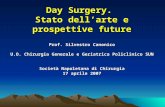 Day Surgery. Stato dellarte e prospettive future Prof. Silvestro Canonico U.O. Chirurgia Generale e Geriatrica Policlinico SUN Società Napoletana di Chirurgia.