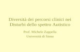 Diversità dei percorsi clinici nei Disturbi dello spettro Autistico Prof. Michele Zappella Università di Siena.