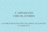 LAPPARATO CIRCOLATORIO LAVORO REALIZZATO DA ANNA ALLOGGIO CLASSE III C.