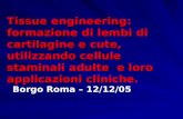 Tissue engineering: formazione di lembi di cartilagine e cute, utilizzando cellule staminali adulte e loro applicazioni cliniche. Borgo Roma – 12/12/05.