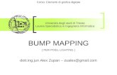 BUMP MAPPING [ PER-PIXEL LIGHTING ] Università degli studi di Trieste Laurea Specialistica in Ingegneria Informatica Corso: Elementi di grafica digitale.