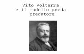 Vito Volterra e il modello preda-predatore. nasce ad Ancona il 3 maggio 1860 da una modesta famiglia di origine ebraica a 23 anni diventa docente di Meccanica.