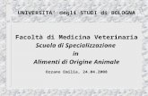 UNIVERSITA degli STUDI di BOLOGNA Facoltà di Medicina Veterinaria Scuola di Specializzazione in Alimenti di Origine Animale Ozzano Emilia, 24.04.2008.
